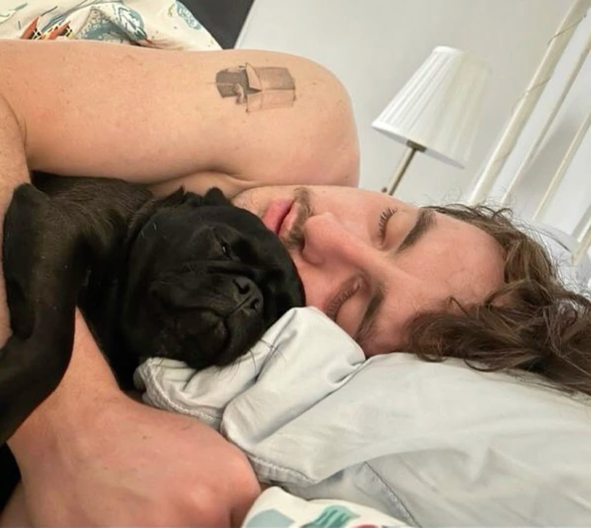 charlie* #1 voidwalker truther tweet media