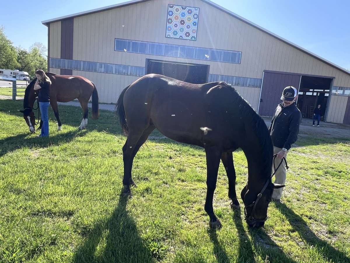 Did you know Purdue has an equestrian team? Not only does it have a team, Purdue has a national championship team. I spent my Saturday morning with them.
