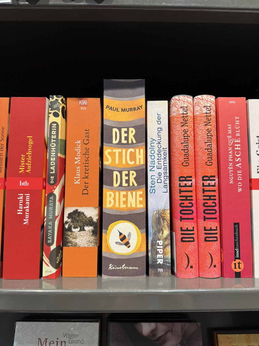 Gestern in der Buchhandlung. Ist mir quasi ins Auge gestochen. #BaywatchBerlin