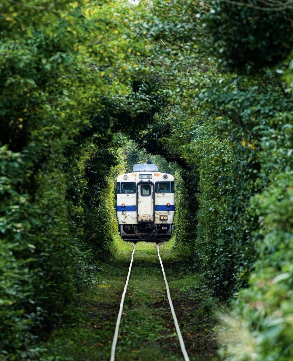 De pracht van het #treinleven… 
(Foto YUYA Photography) 
#Ibusuki #Kagoshima #Japan #trein
