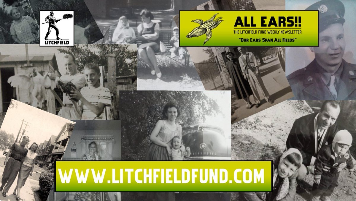 This week's All Ears!!

🌽🌽Photos of Life🌽🌽
nebula.wsimg.com/5ff81feb346b60…

#cpgindustry #cpgnews #investing #founders #networking #amwriting 
#investors #entrepreneur #writerscommunity #writingcommunity