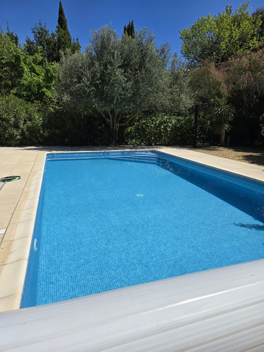 Chansar Mest tweet media