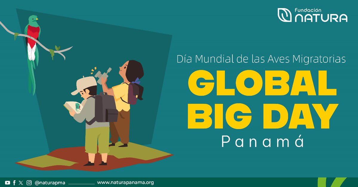 ¡Hoy, celebramos el Global Big Day Panama! Un día para unirnos como comunidad y salir a observar, registrar y disfrutar la increíble diversidad de aves que habita en Panamá y que migra usando a nuestro país como un corredor.
#DíaDeLasAvesMigratorias
#GlobalBigDayPanama