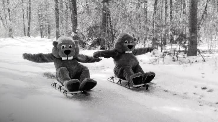 はづきのみやページ Hazuki on X