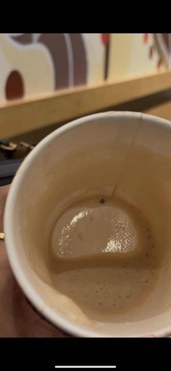PriyaliKasera's tweet photo. @TimHortons #TimHortons Highly disappointed with @TimHortonsIN at Hyderabad Airport. Found a bug inside my coffee cup — only visible after I finished it. Shocking lapse in hygiene from a brand of this stature. #TimHortons #FoodSafety #disappointed @RGIAHyd https://t.co/MggTIn2BIs