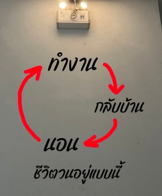 ช่วงนี้ไม่คอยมีเวลาว่างเลย🤣 🇹🇭🌿🕊️