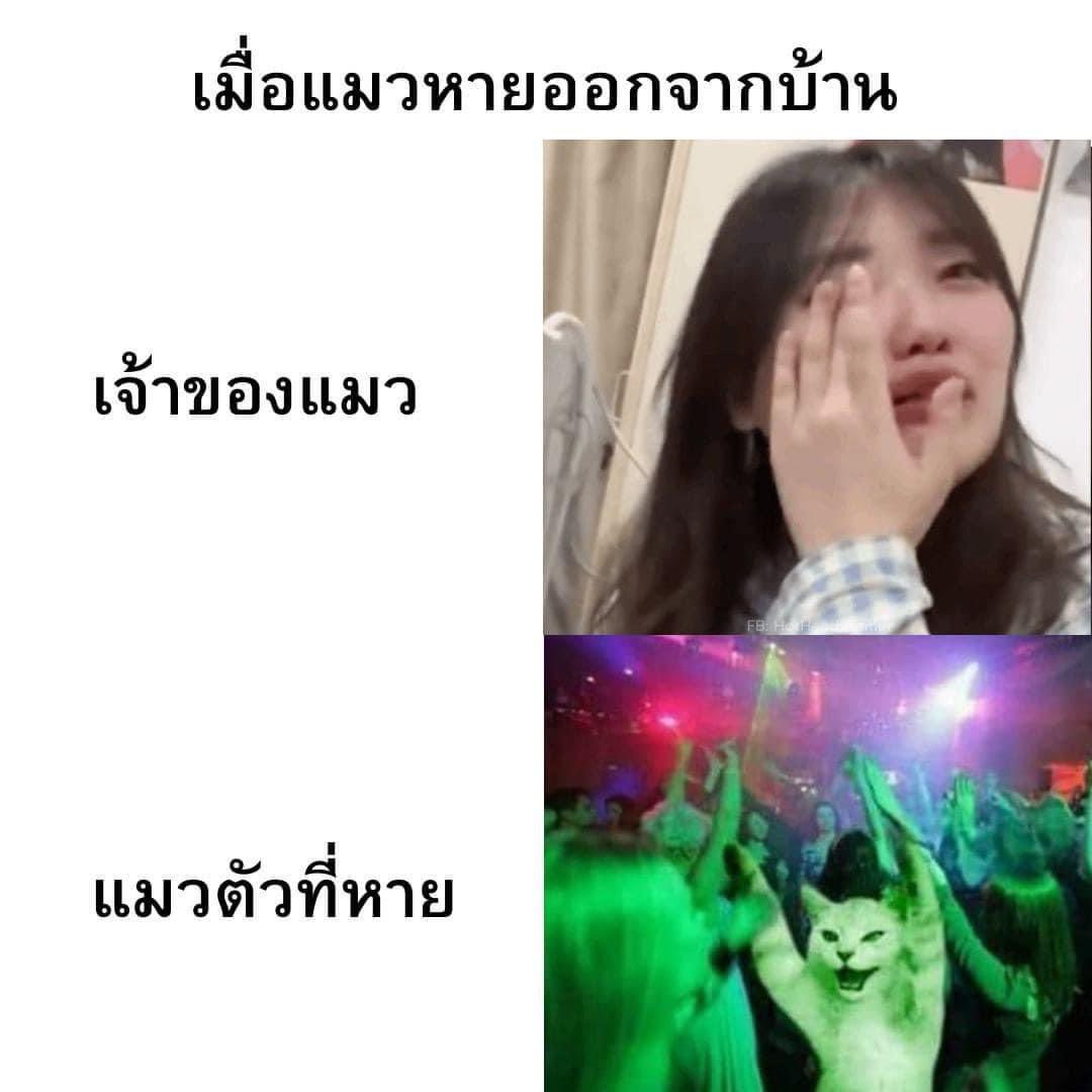 inkinkoil's tweet photo. นึกถึงมีมนี้อะ55555 https://t.co/pg0SmwJvfw