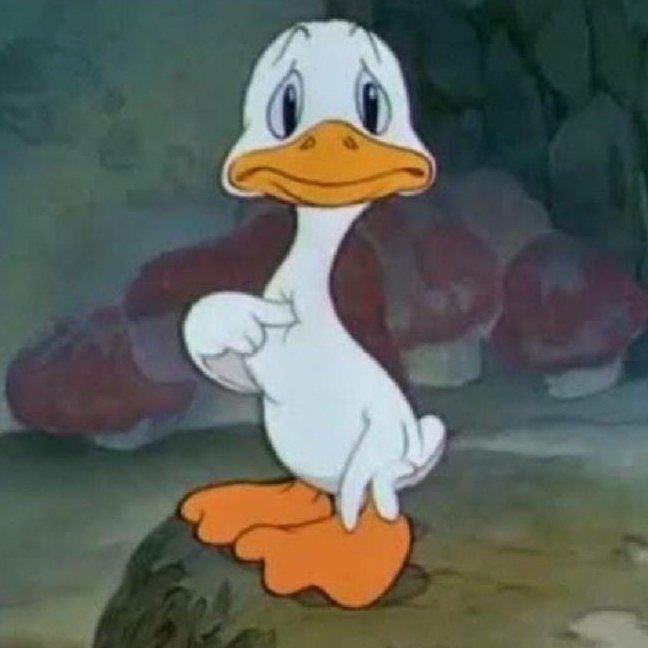 Tyler Shough waking up this morning