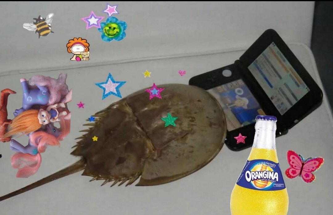 From meme to coin
Don't need to evolve ☆♡ on <a href="/zora/">Zora</a>