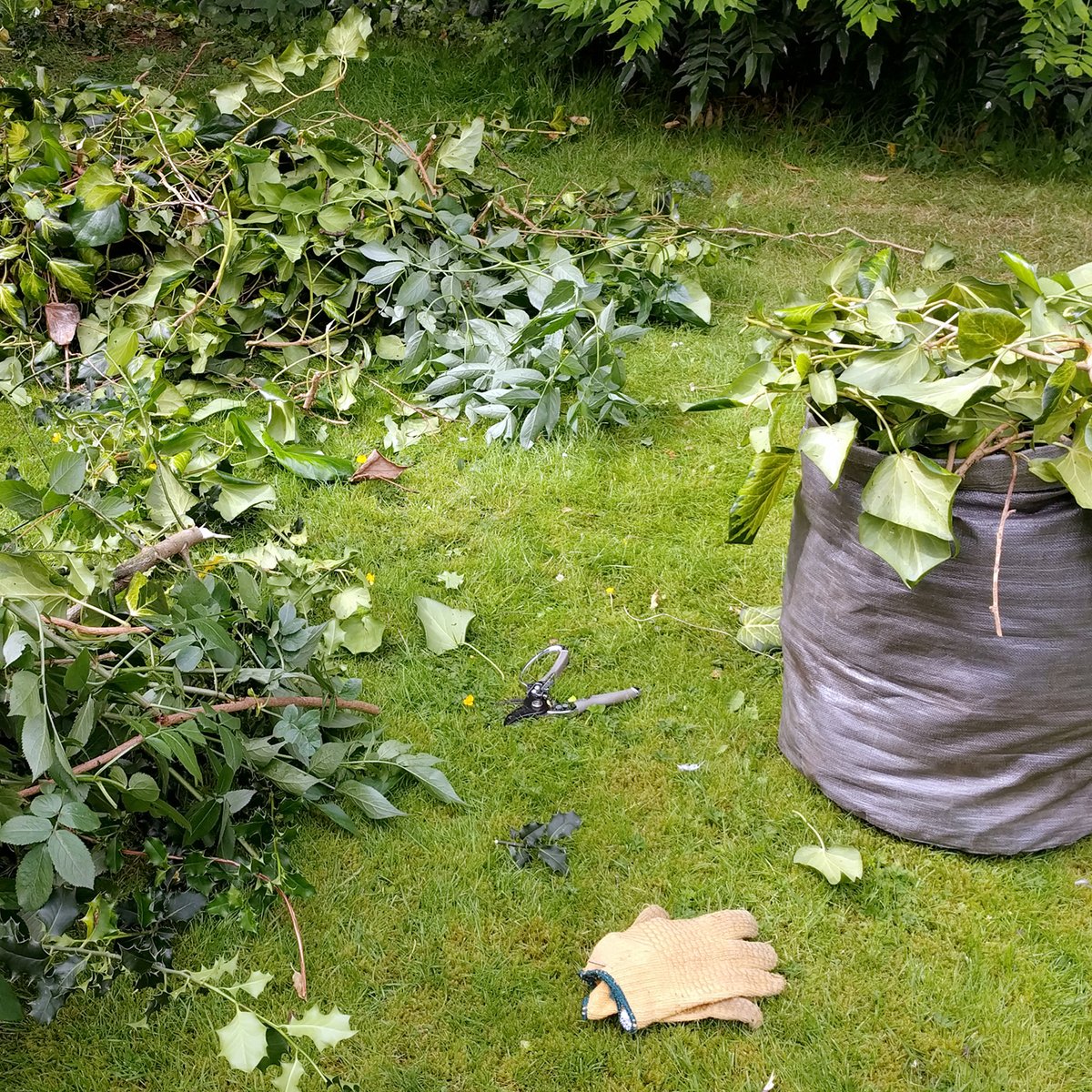 ChrisStauner's tweet photo. Keeping your trees trimmed and removing unhealthy ones around your yard can help reduce the chances of property damage during a tornado or severe weather. https://t.co/AH8SV0vMvY