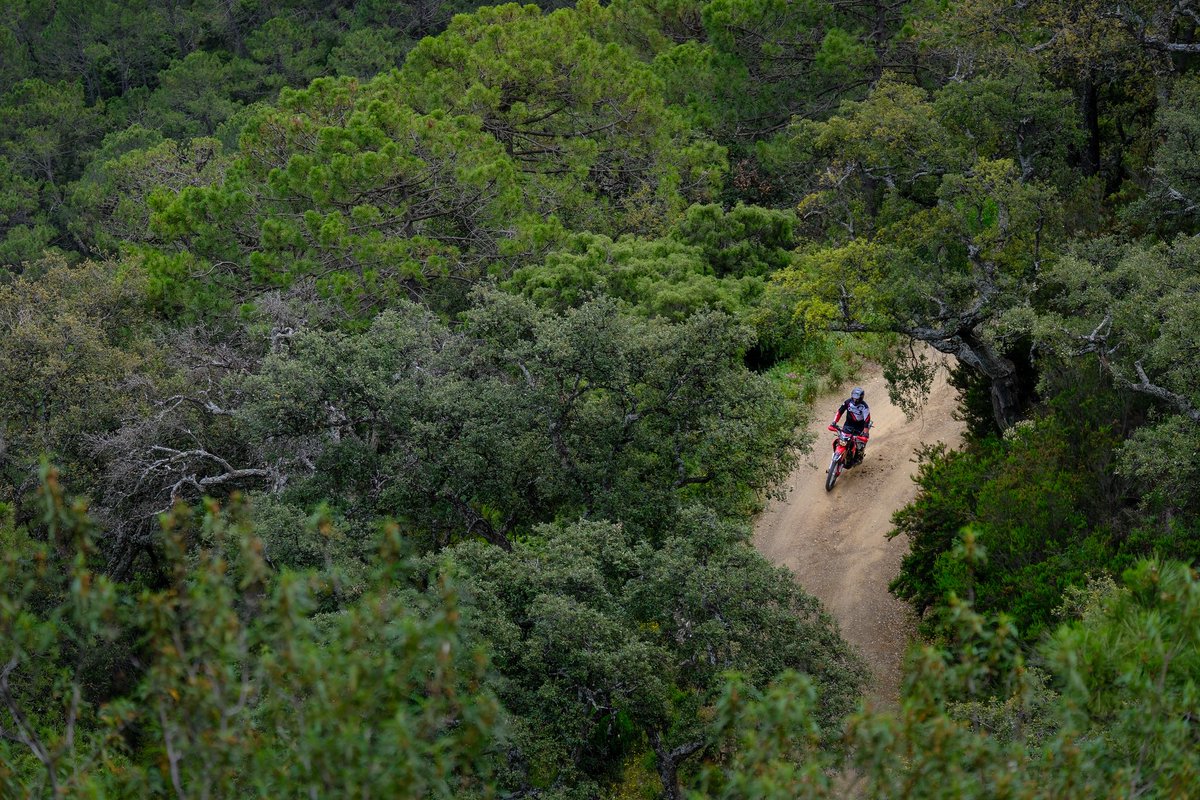 TomBoomBox's tweet image. On my way home from Málaga after three awesome days on bikes and behind lenses, assisting the team behind Toro Trail and Toro Adventure with their latest business venture
