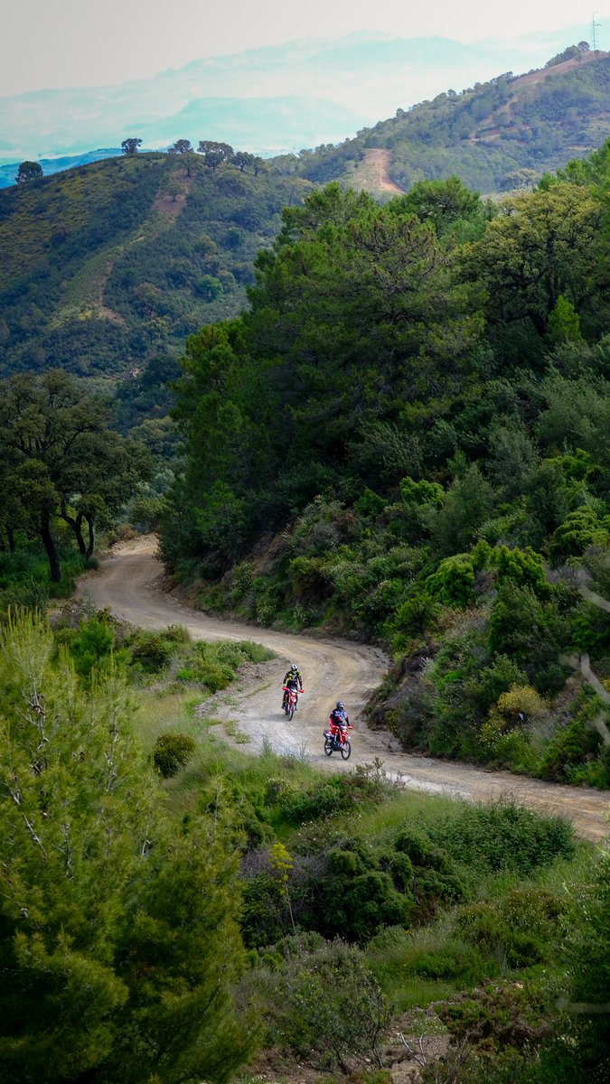 TomBoomBox's tweet image. On my way home from Málaga after three awesome days on bikes and behind lenses, assisting the team behind Toro Trail and Toro Adventure with their latest business venture