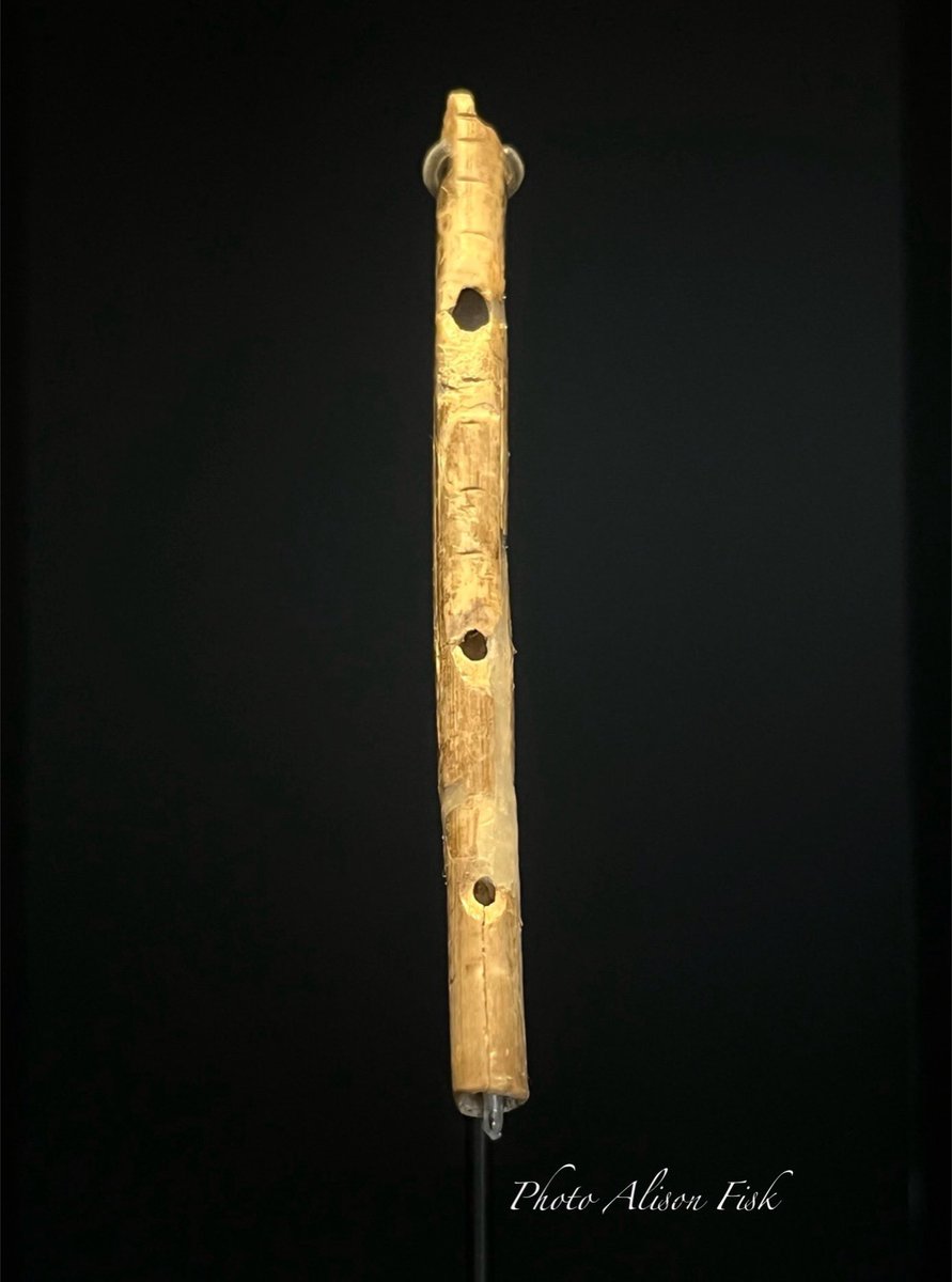 Music bringing people together for millennia! 🪈 🎶

About 40,000 years ago, during the #IceAge, this flute was made from a swan’s wing bone. It is one of the World’s oldest known musical instruments!

Geißenklösterle cave, Swabian Jura, Germany. Landesmuseum Württemberg,