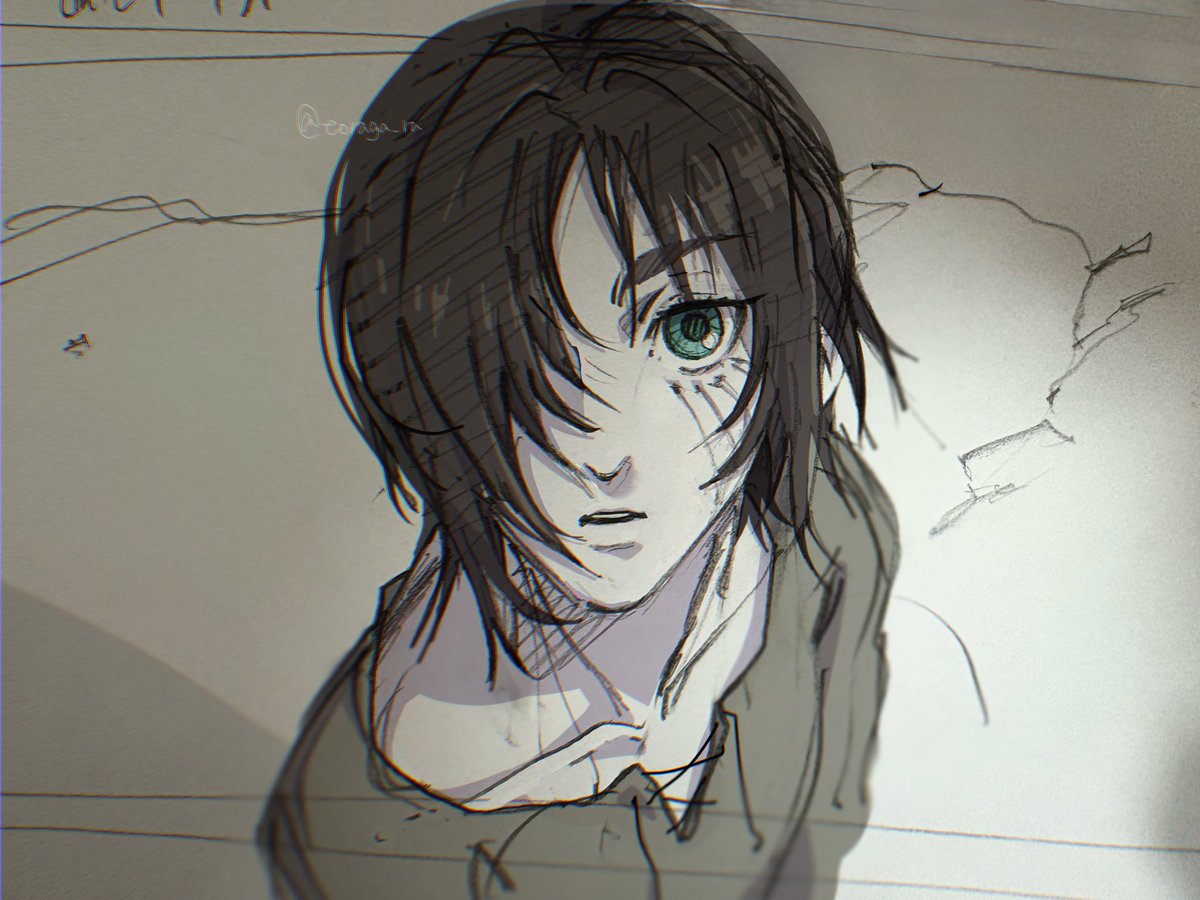 虎柄 tweet media