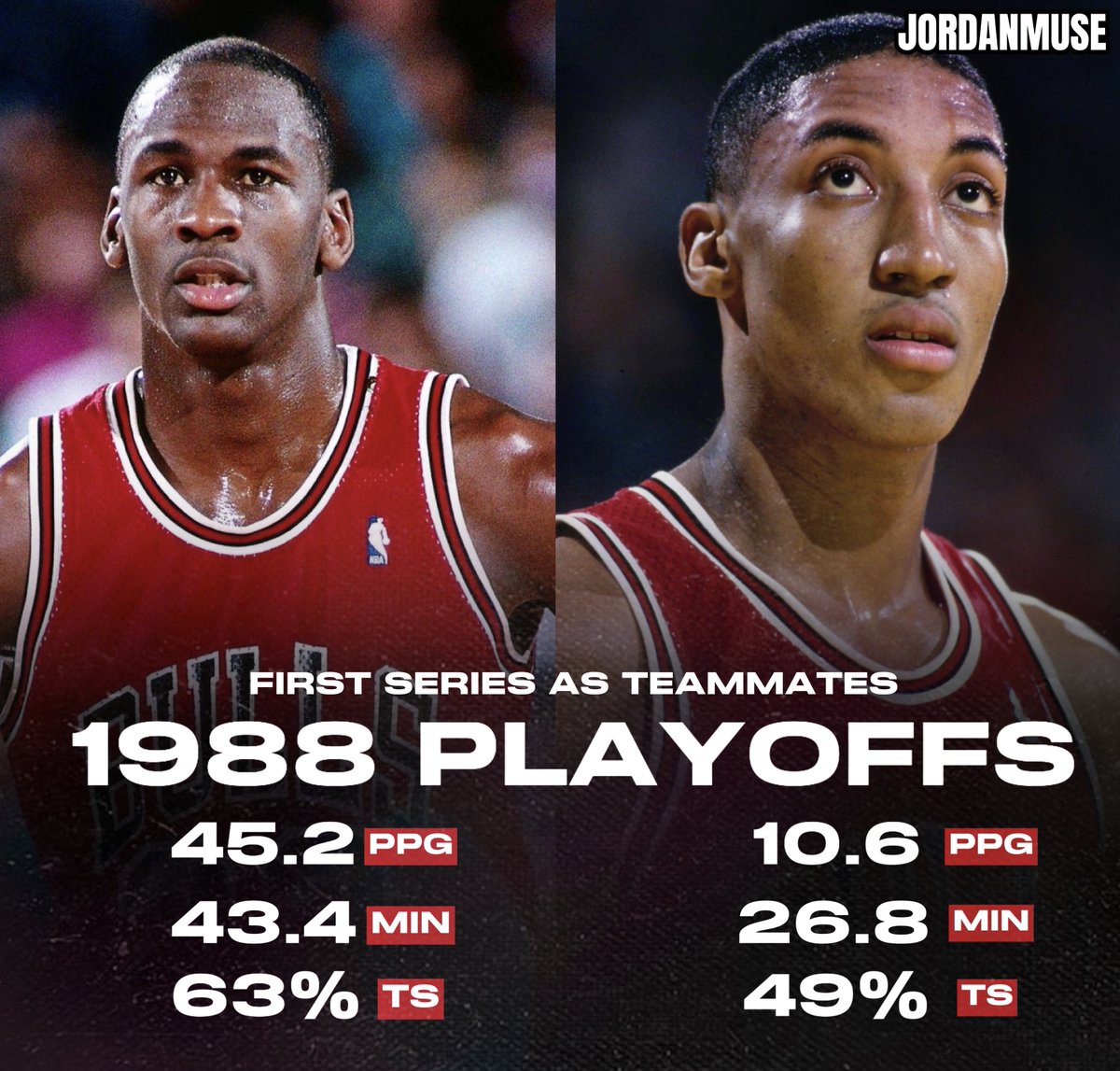 JordanMuse tweet media