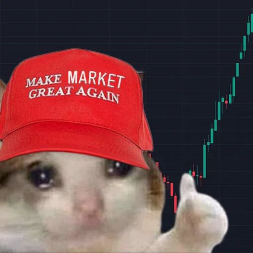 Castillo Trading tweet media