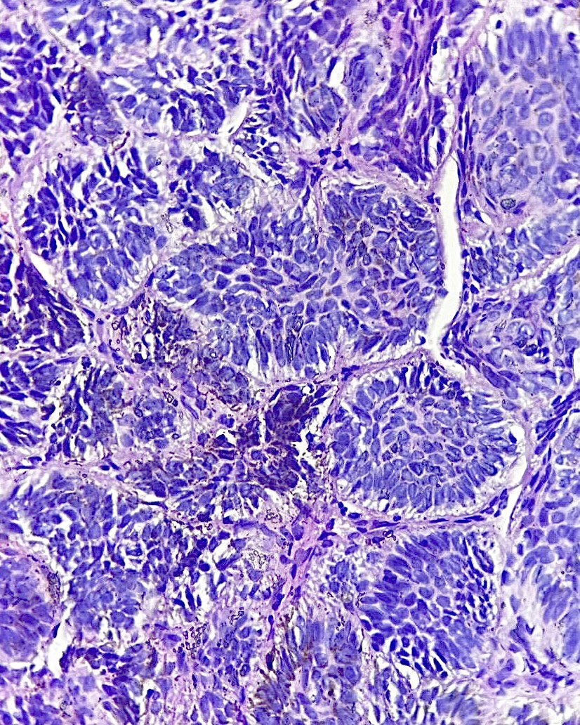 Dr. Megha Lalcheta MD tweet media