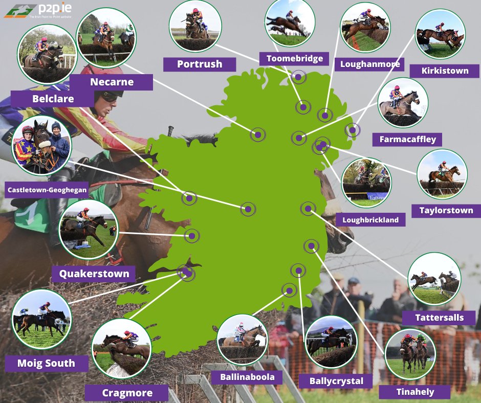 irishp2p's tweet image. From Loughbrickland in October 2018 to Necarne in May 2025, Winged Leader’s record-equaling 33 victories in the point-to-point fields has taken him and his connections on a journey all across Ireland.

In all, he has won at 17 different point-to-point venues.