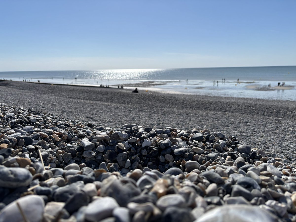 We are taking some days off 😴
The first since the chemos and the diagnostic ! Don’t worry, the piggies are under very well care, especially Zeebra !