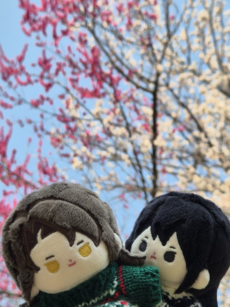 soonto23's tweet image. #진혼기_트친소
#진혼기트친소
저랑 같이 진혼기 해주실 공주님들을 모십니다😘❤️
조용하신 탐라에 시끄러운 귤...하나,,, 어떠세요,..?