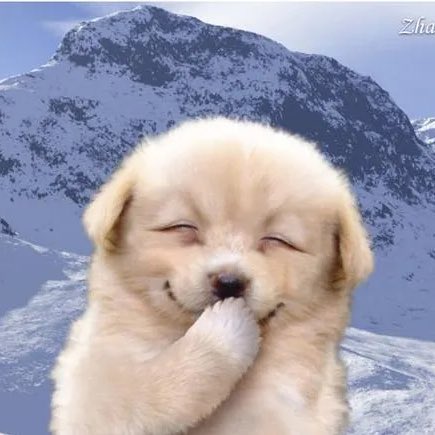 똑같이 생겼잔아