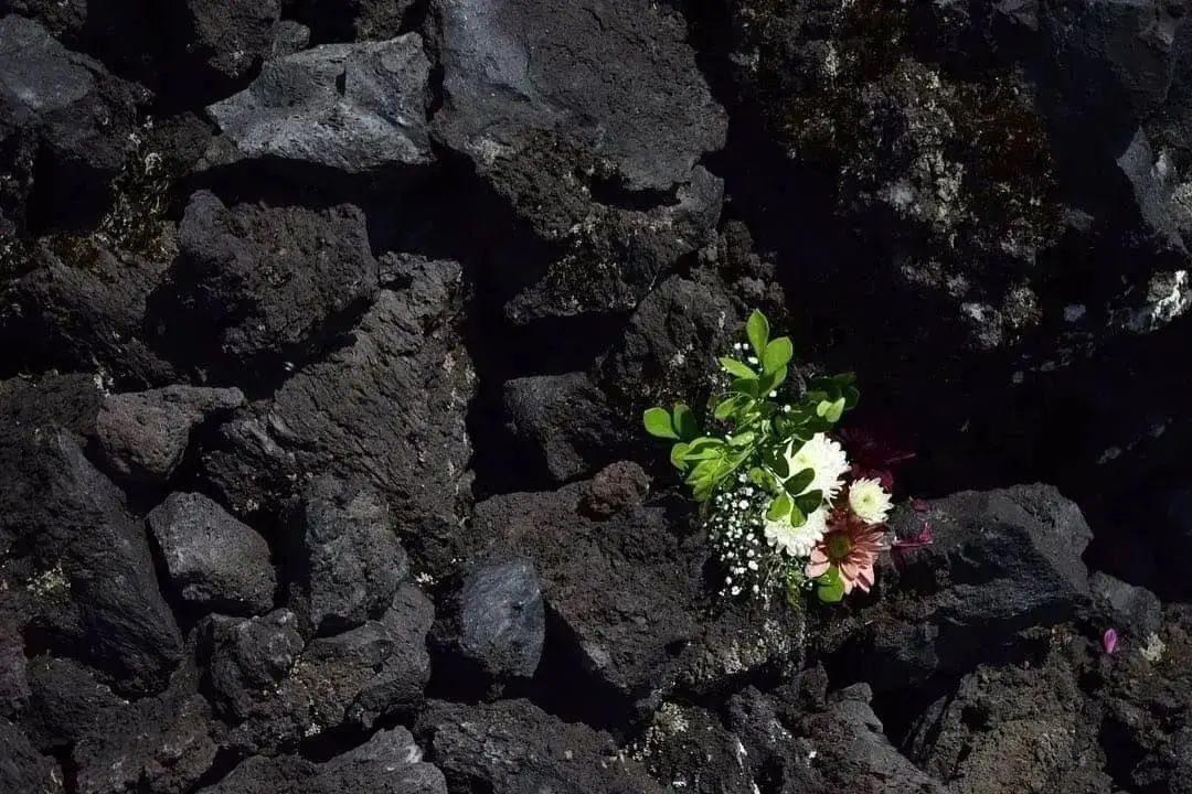 Cuando sepas que he muerto
di sílabas extrañas.
Pronuncia flor, abeja, lágrima,
pan, tormenta.

No dejes que tus labios
hallen mis once letras.
Tengo sueño, he amado,
he ganado el silencio.

- Roque Dalton
(14 de mayo de 1935 - 10 de mayo de 1975)