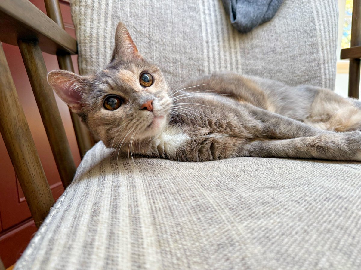 James Gunn tweet media