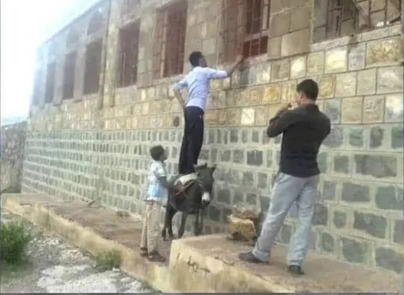 من طقوس الاختبارات في بلادنا!!!
حما.ر فوق حما.ر ... يغشش حما.ر ...
لأجل ينجح الحما.ر ....
ويدخل البلاد جحر الحما.ر ...
#القشة_نيوز