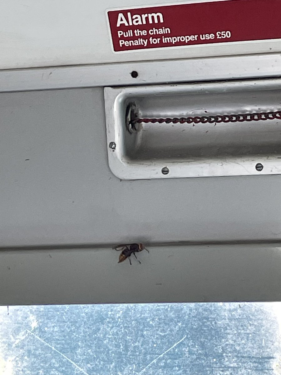 Peter Spokes tweet media