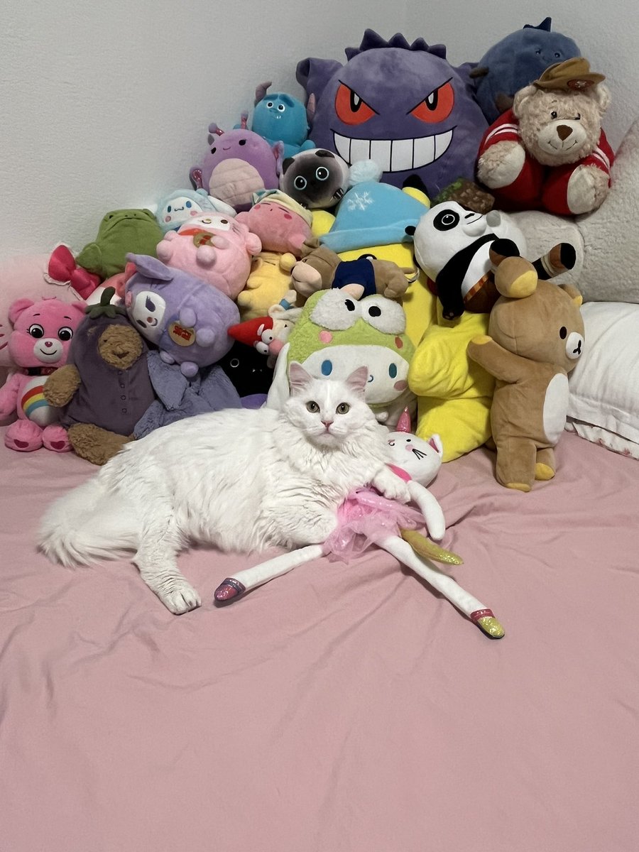 fartass2002's tweet photo. #Caturday https://t.co/hgpUiggIGg