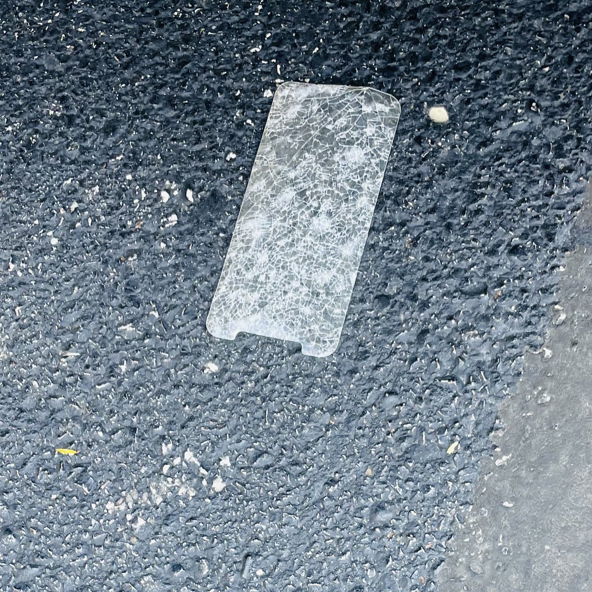 WorkforceJames's tweet image. 3,000-day #litterchallenge Day 2,075: This was under my car. 

Pickup: #CellphoneScreenProtector 

🌎🚮🗑️🐶😎✋💚 x69
#AtLeastOneaDay #OreotheDog
