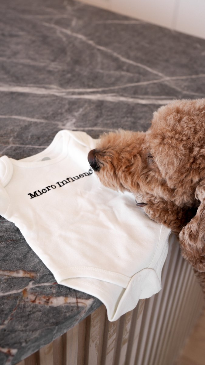 Some exciting news to share! We have a little one on the way in September 2025! 🧡

Microoooo influencerrrrrs in the wild!