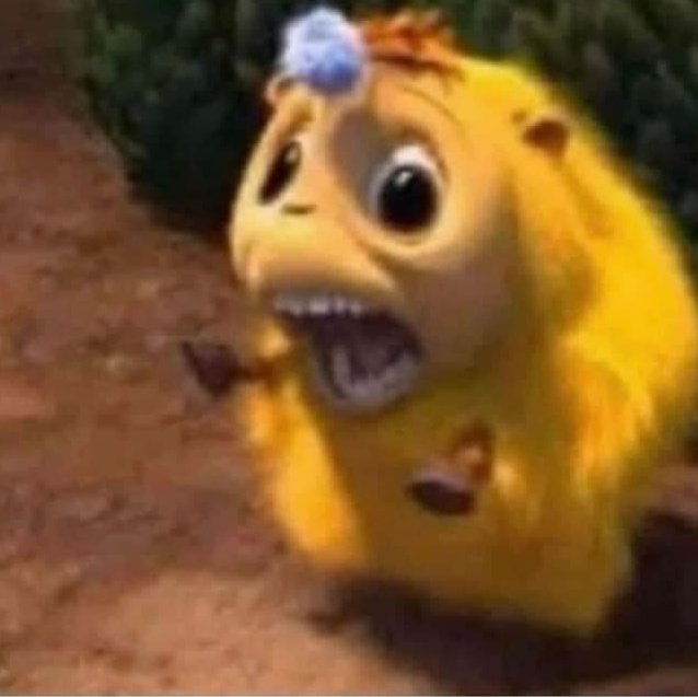 Refreshed my timeline "ceasefire"
Again refreshed my tl " ceasefire violated"