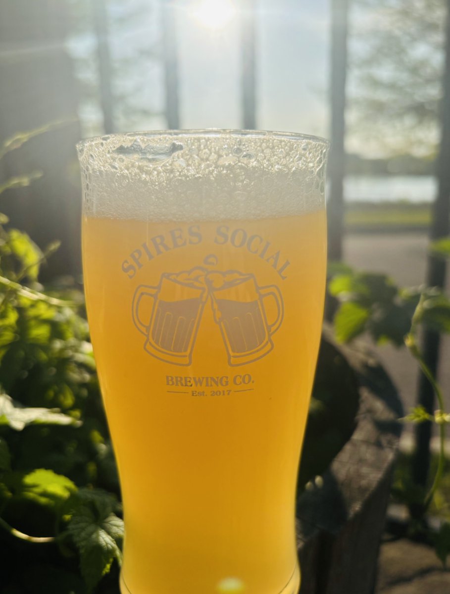 𝐂𝐨𝐮𝐧𝐭𝐫𝐲 𝐓𝐢𝐦𝐞 Hazy IPA 5.3% abv - Sweet summer? Nah, we brought hops 🍻
•
•
•
#hazyipa #beerstagram #countrytime #craftbeer #hoppybeer #beerinspires #patiosippin #drinklocalcraftbeer #drinkbeermadehereohio