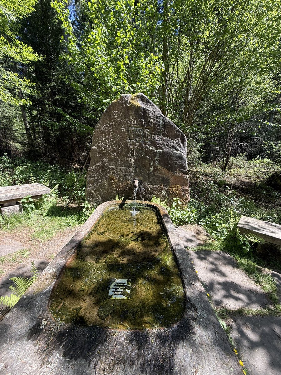 joadoit's tweet image. Wandern auf dem Pfälzer Waldweg nahe KL

#WANDERLUST