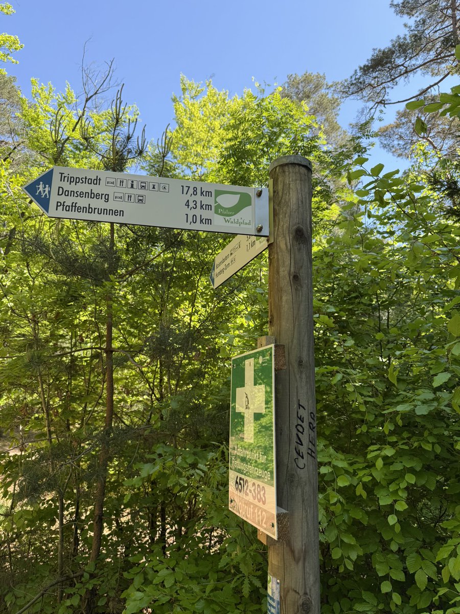 joadoit's tweet image. Wandern auf dem Pfälzer Waldweg nahe KL

#WANDERLUST