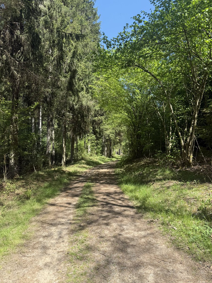 joadoit's tweet image. Wandern auf dem Pfälzer Waldweg nahe KL

#WANDERLUST