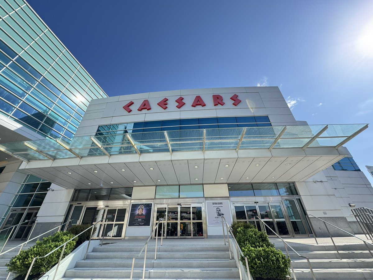 Casino Collective tweet media