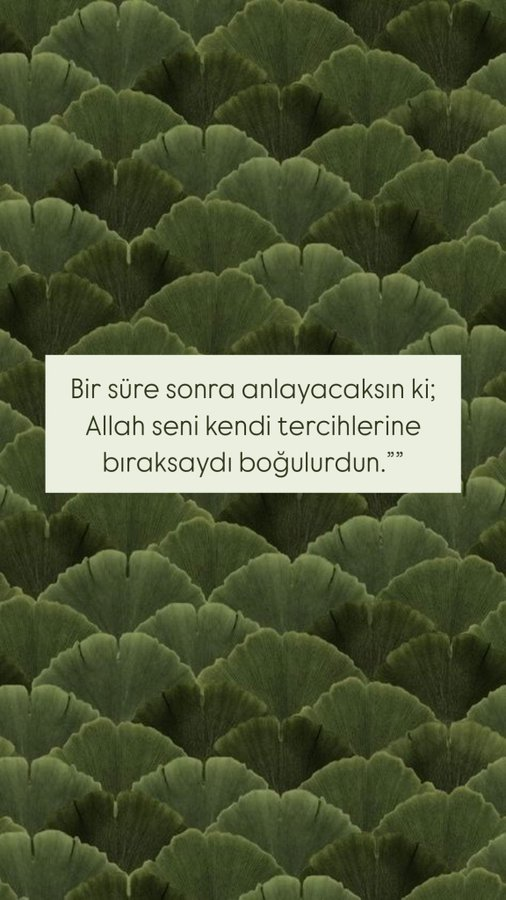 Monna Rosa (@ayaserenat) on Twitter photo 