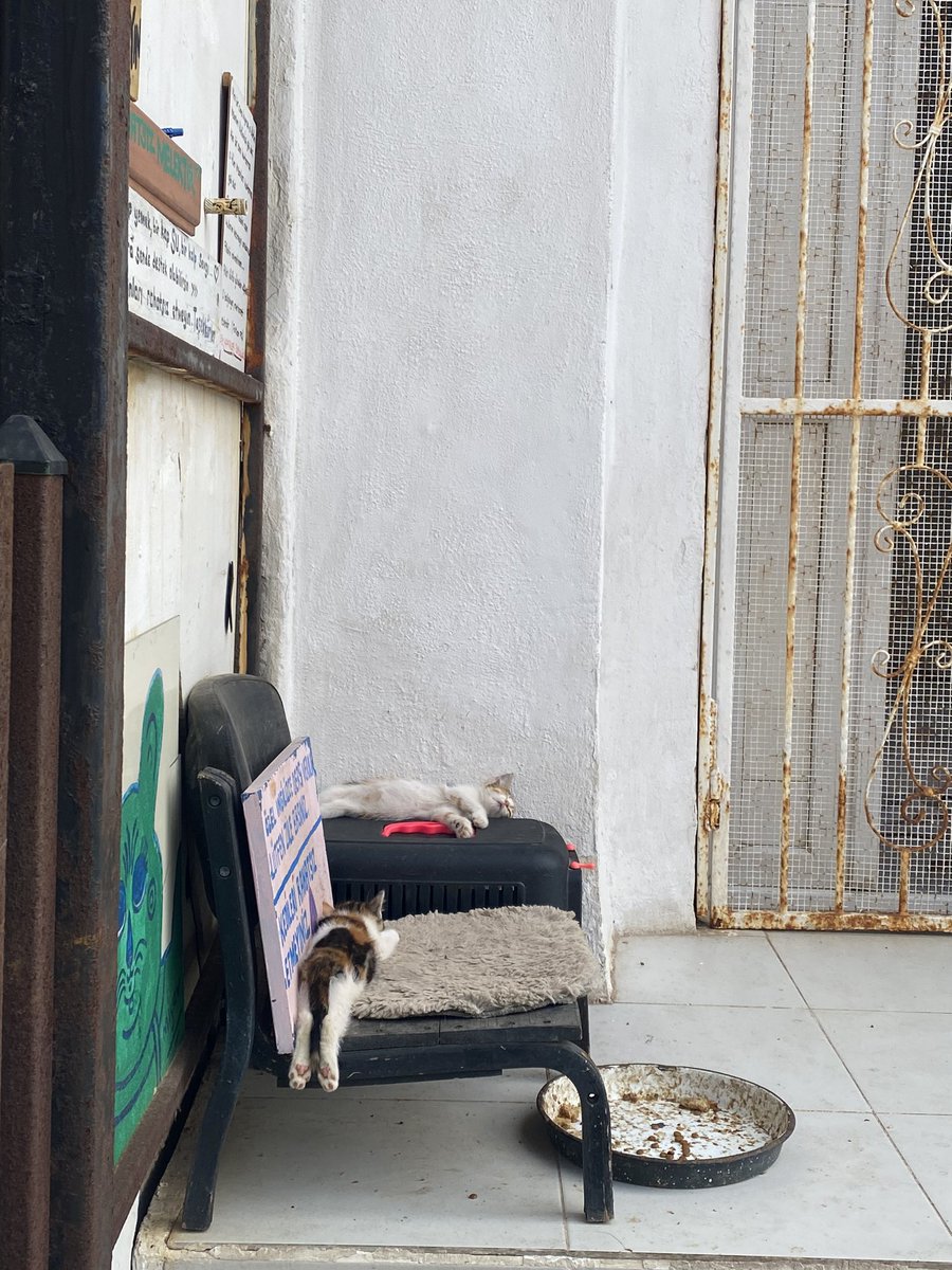 aganın keyfi yerinde