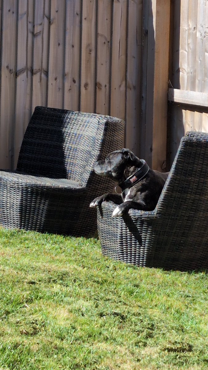 Police_PVFC tweet media