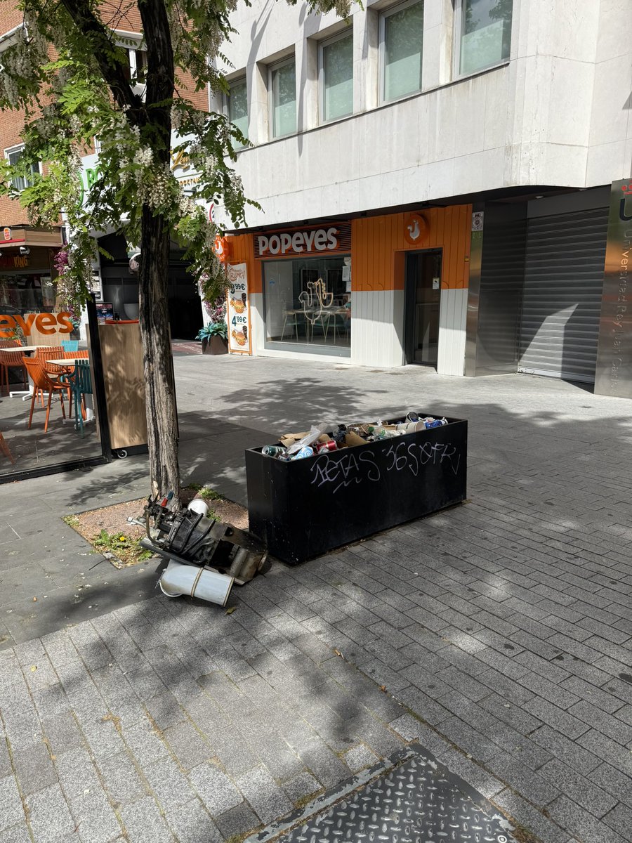 María A. Trujillo 🇪🇸🇲🇦ماريا tweet media