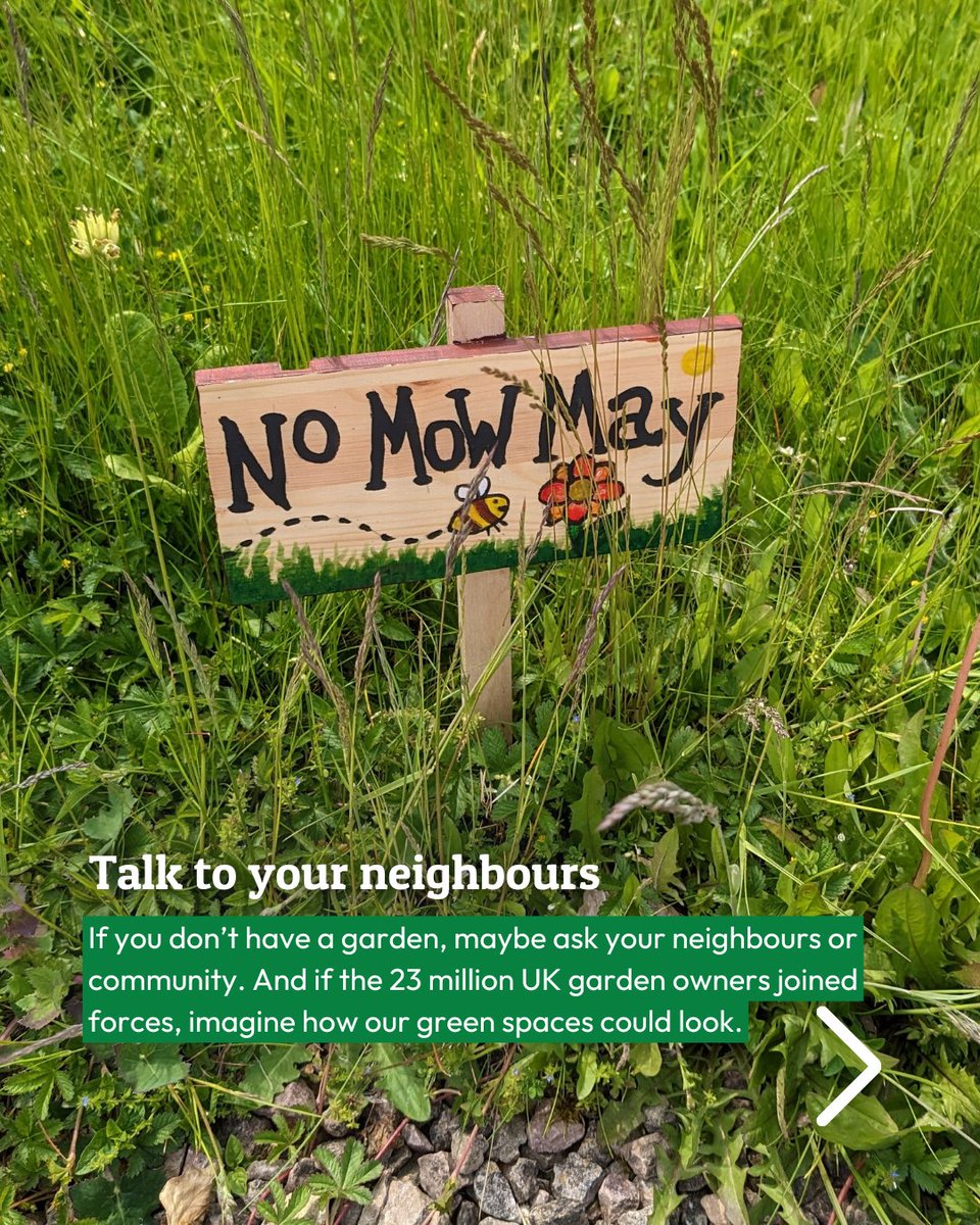 No lawn? No problem!

You can still give #PowerToTheFlowers and join the #NoMowMovement if you don’t have a garden. 🌸

Why not…
🌱Start a community meadow
📚Try it at your school
🏘️Share a #NoMowMay space with neighbours

For more ideas 👉 bit.ly/3UWii6B

#FlowerPower