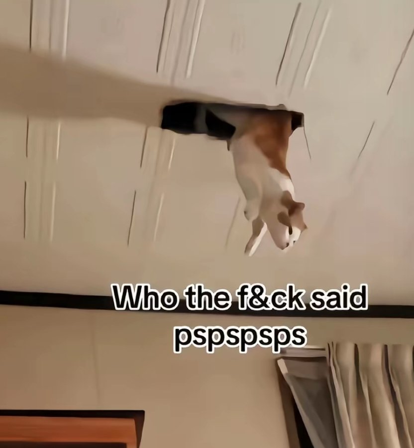 Teason (@teasonhiden) on Twitter photo 