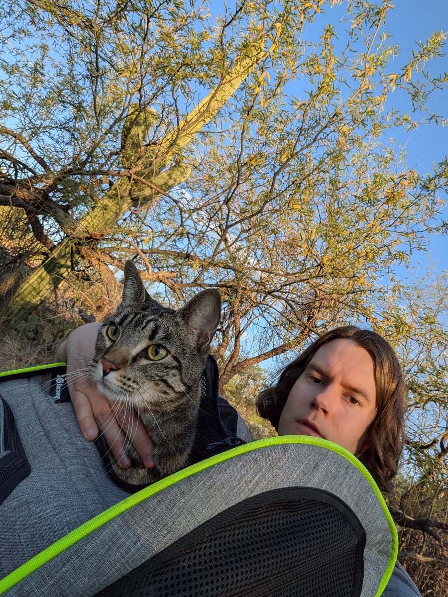 Bigmoran tweet media