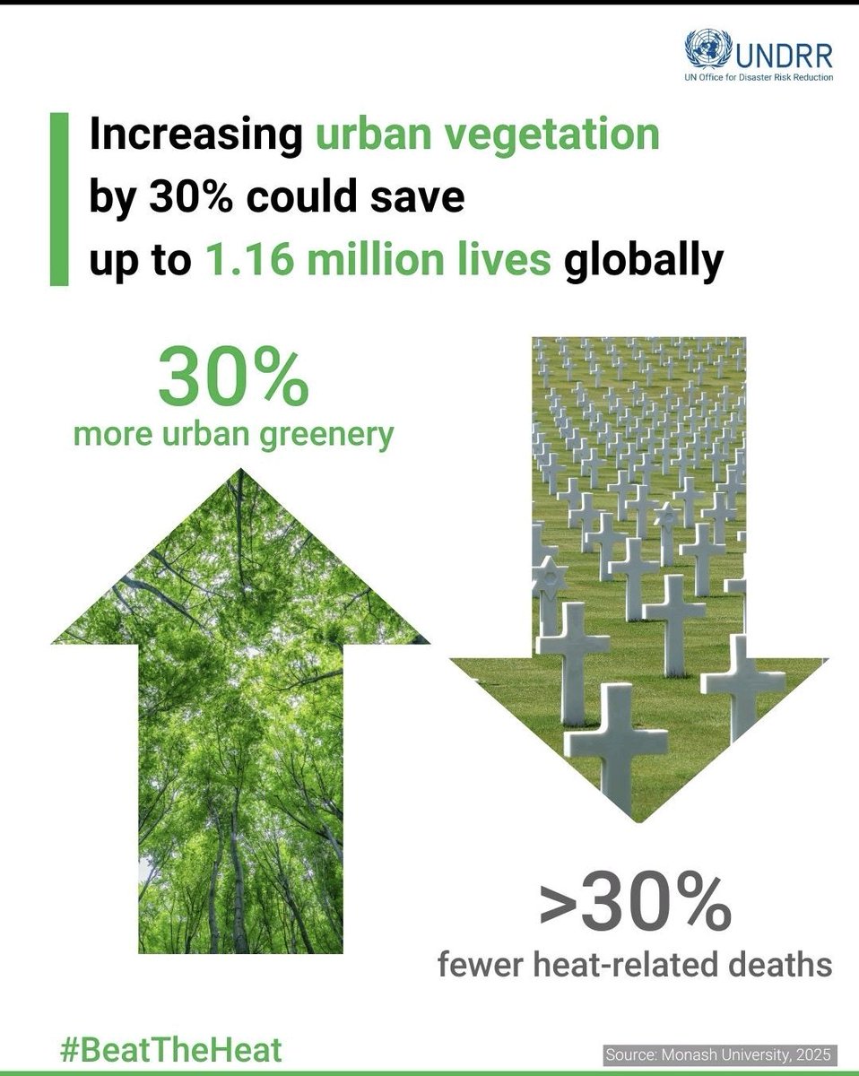 A modelling study by <a href="/MonashUni/">Monash University</a> finds our that increasing urban vegetation by 30% could have prevented over 1 - 1.6 million heat-related deaths globally during the 2000-2019 period. That's over onr-third of the total toll. Let's stop chopping off of full-grown trees &amp; go for new.