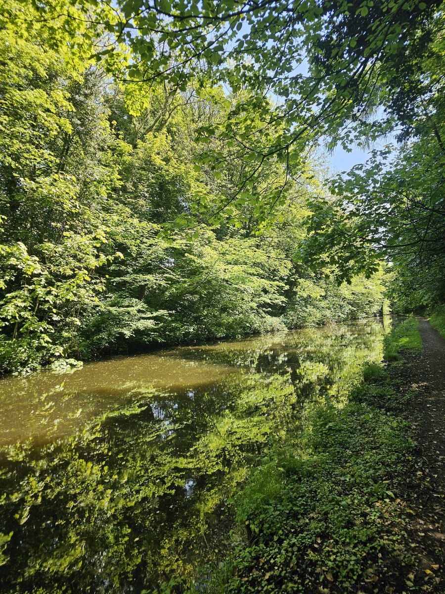 claretwiggpeckh's tweet photo. Lancaster Canal and Lune Estuary walk on a Saturday #Lucky2LiveInLancaster and work @UHMBT #SwitchOffSaturday https://t.co/PuIHu1s4Xp