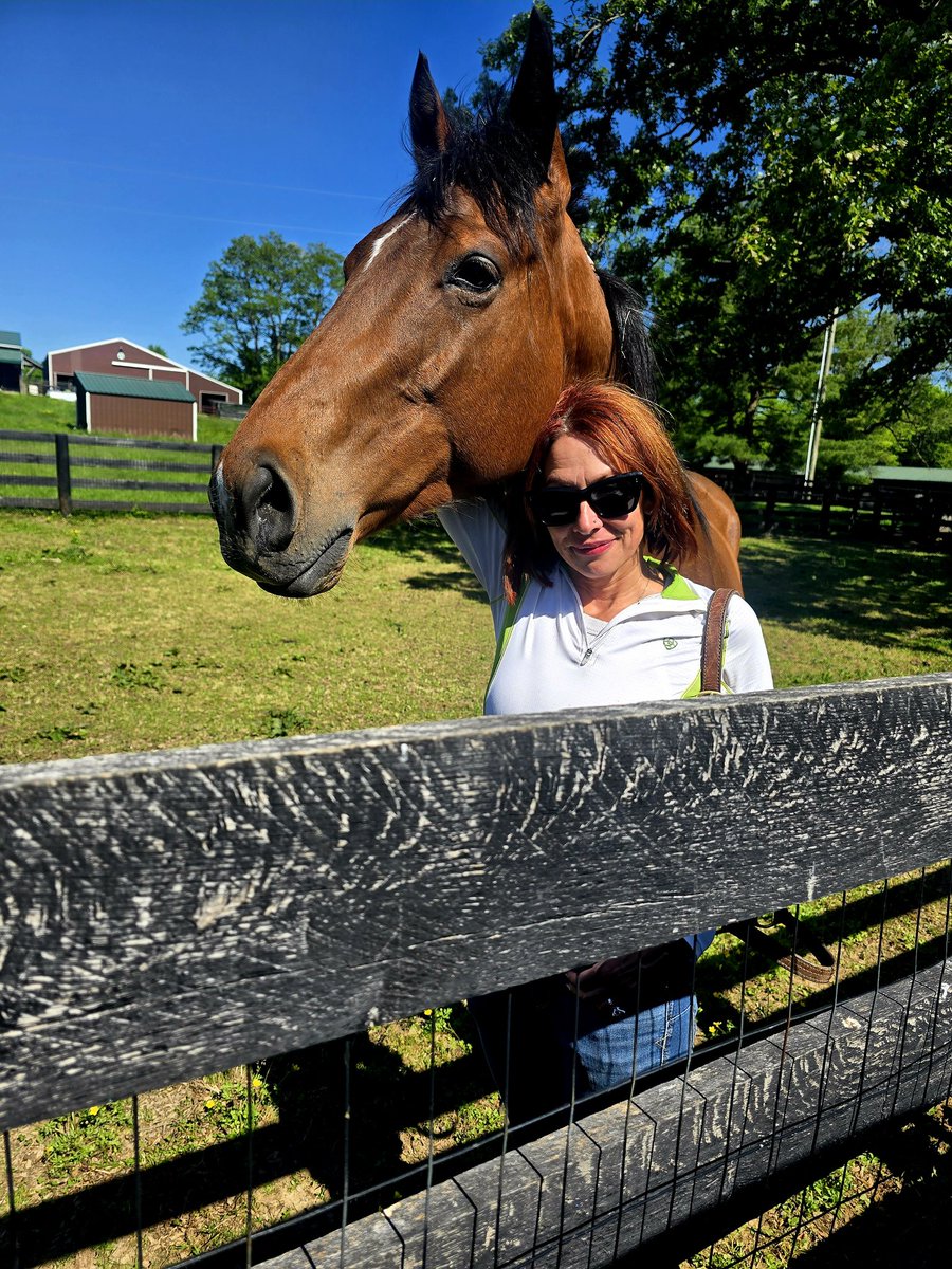 HeatherMammen's tweet image. He's home forever! 🥰🐎❤️
