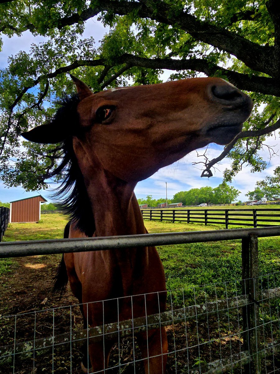 HeatherMammen's tweet image. Whacha talking about Willis??