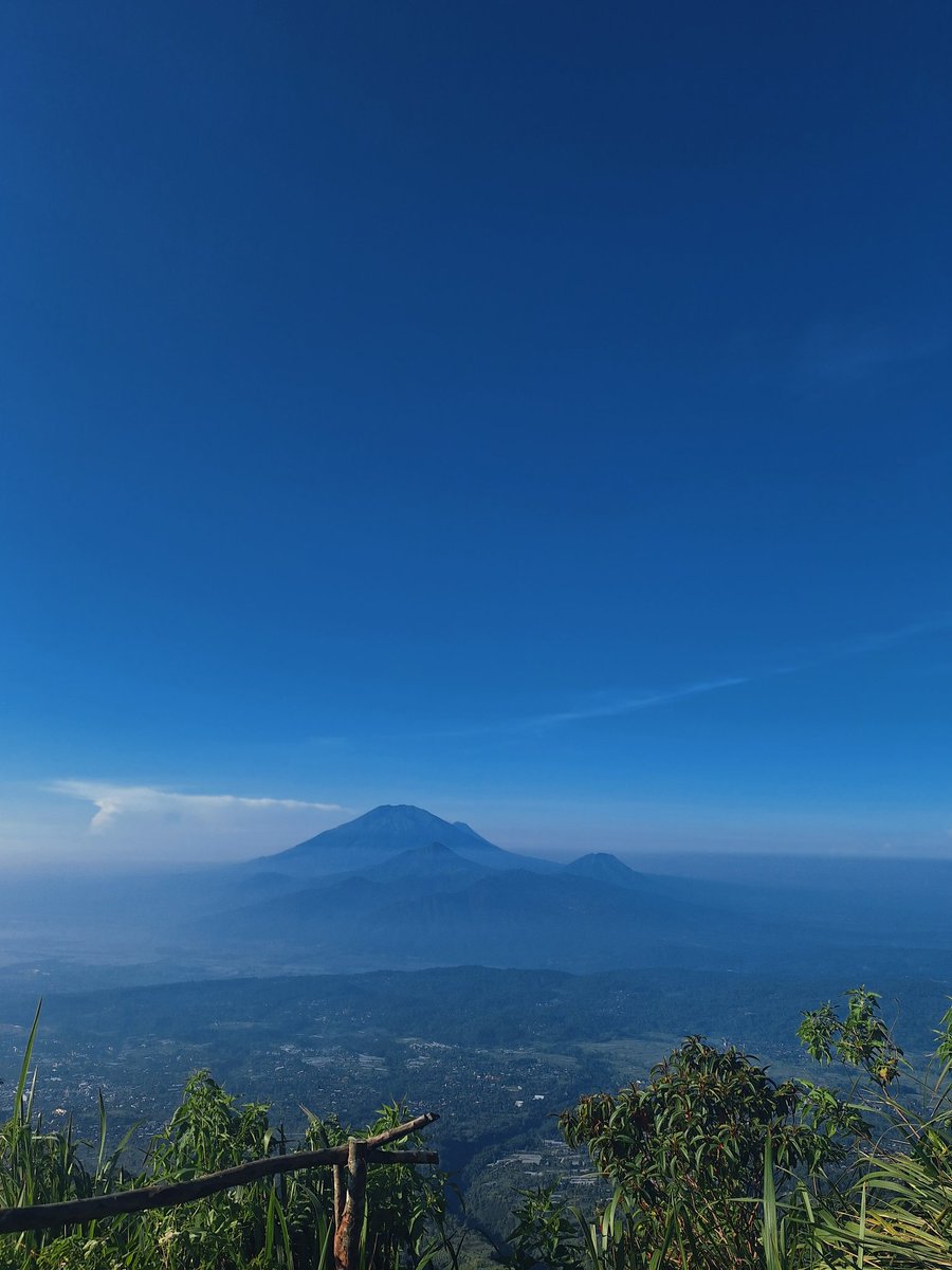 nanads🦕 tweet media